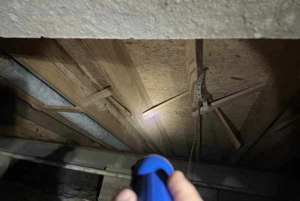 Crawl space inspection for moisture and mold