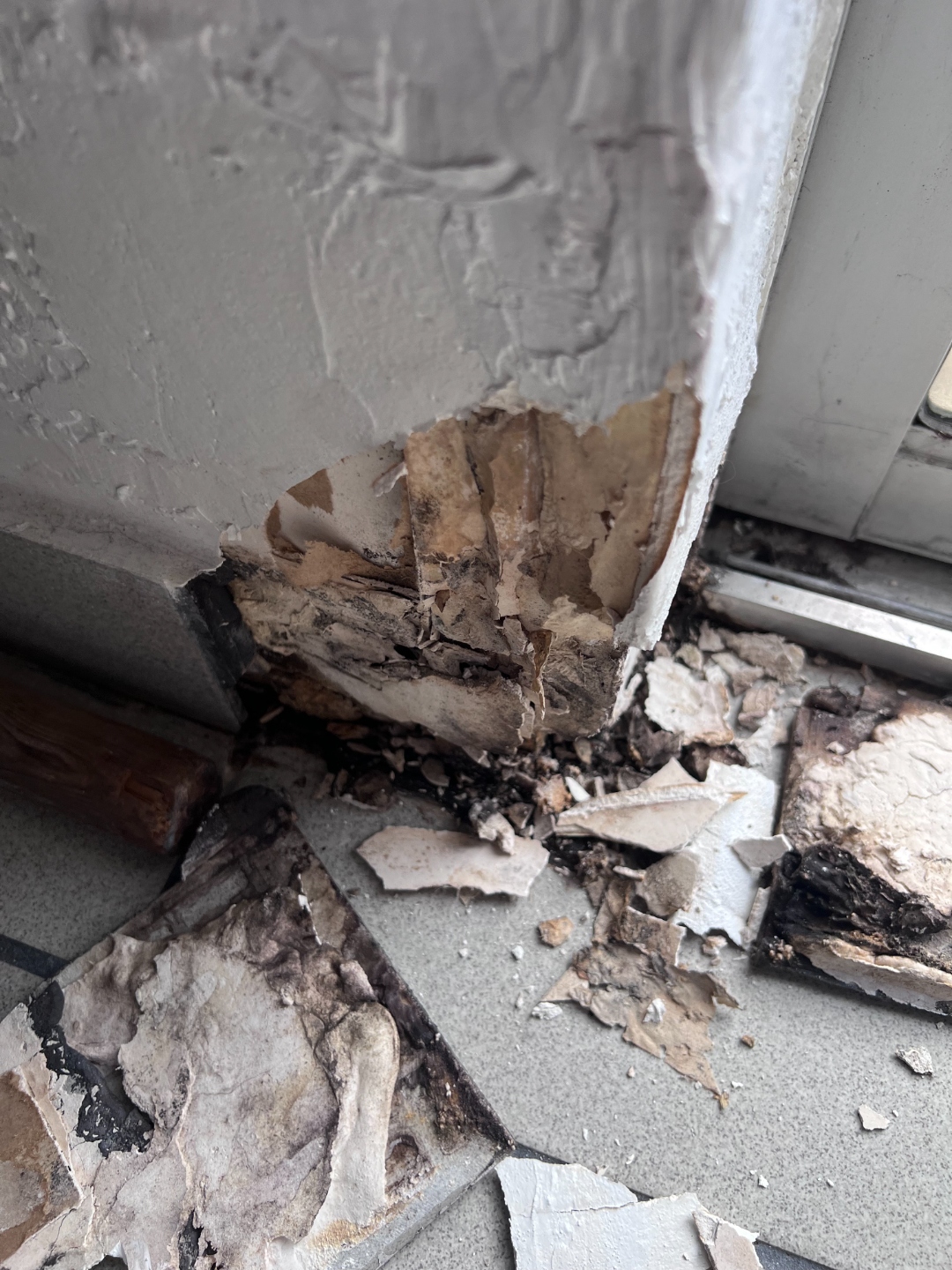 Water damage inspection in progress