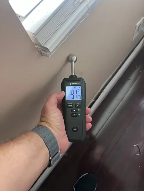 Pin-type moisture meter reading 91 percent at a window baseboard in Davie, FL