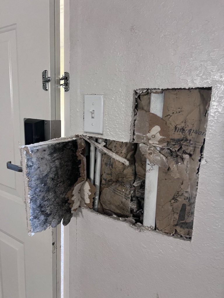 Open wall section with visible mold on drywall framing in Hialeah, FL