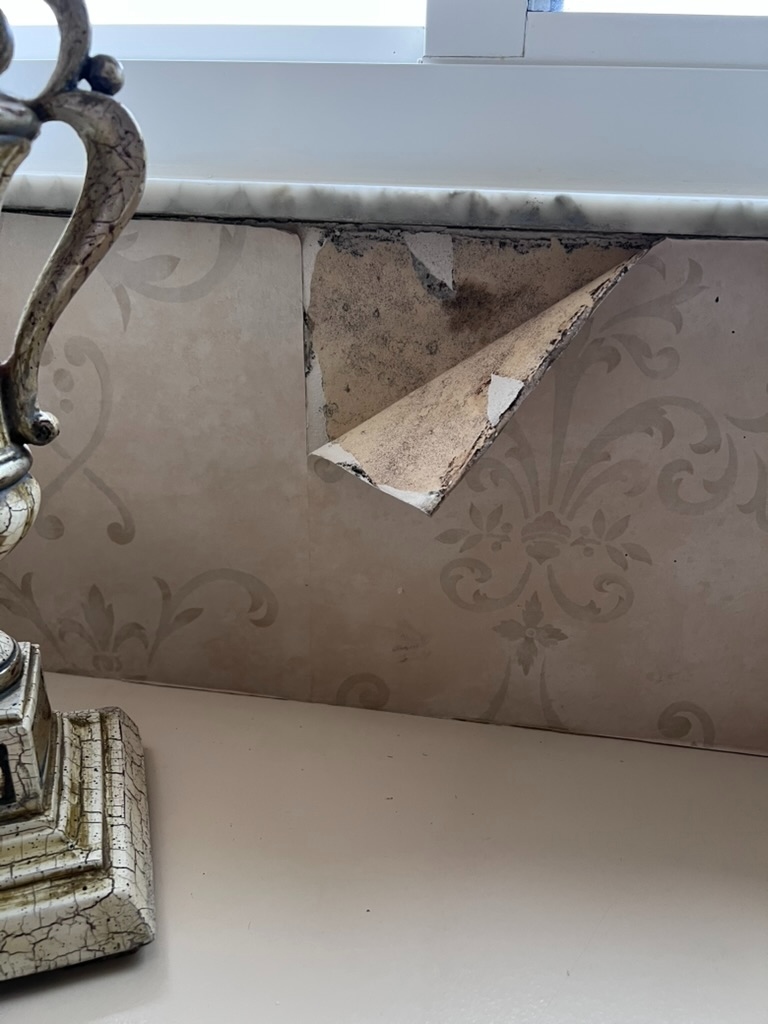 Mold growing behind wallpaper in Hialeah home due to chronic wall moisture