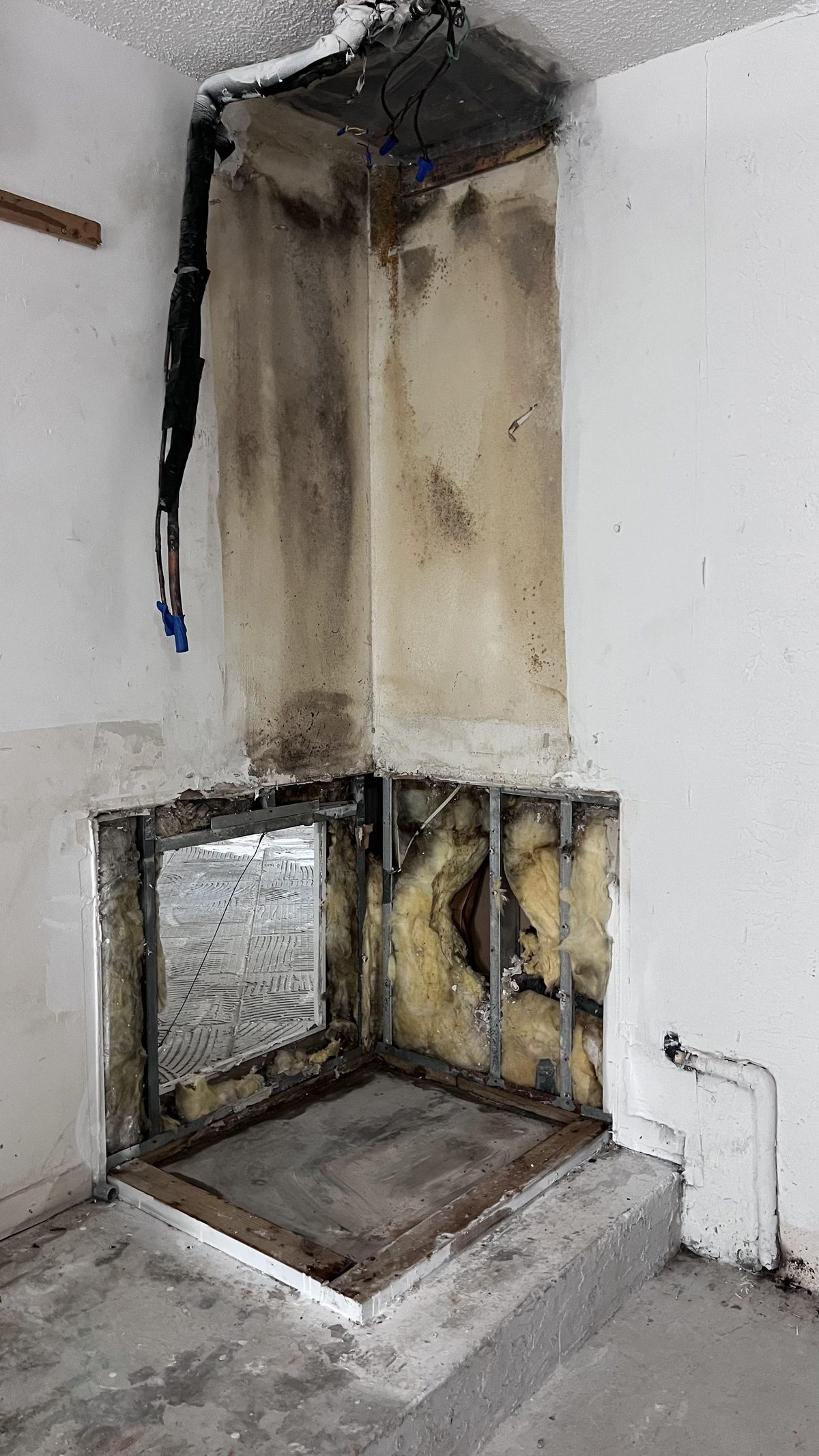 Severe mold staining in an air-handler closet exposed during remediation