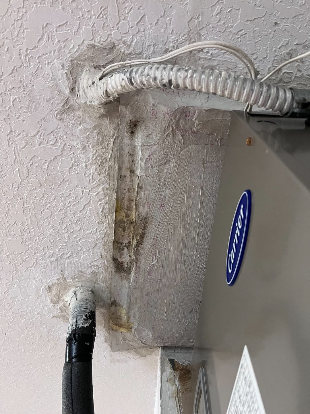 Mold growth on wall insulation beside a Carrier air handler