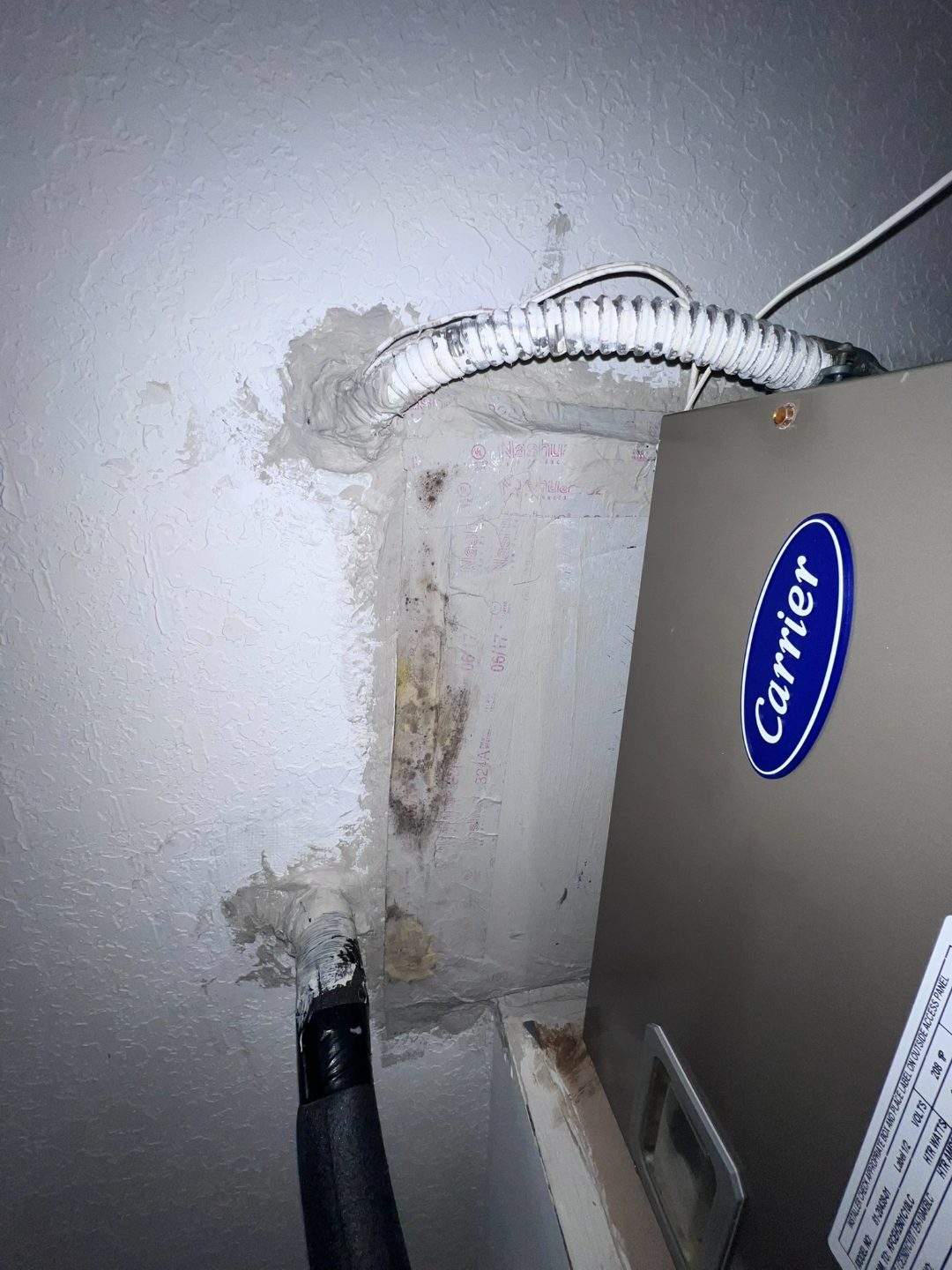 Mold contamination around an air handler and refrigerant line penetration