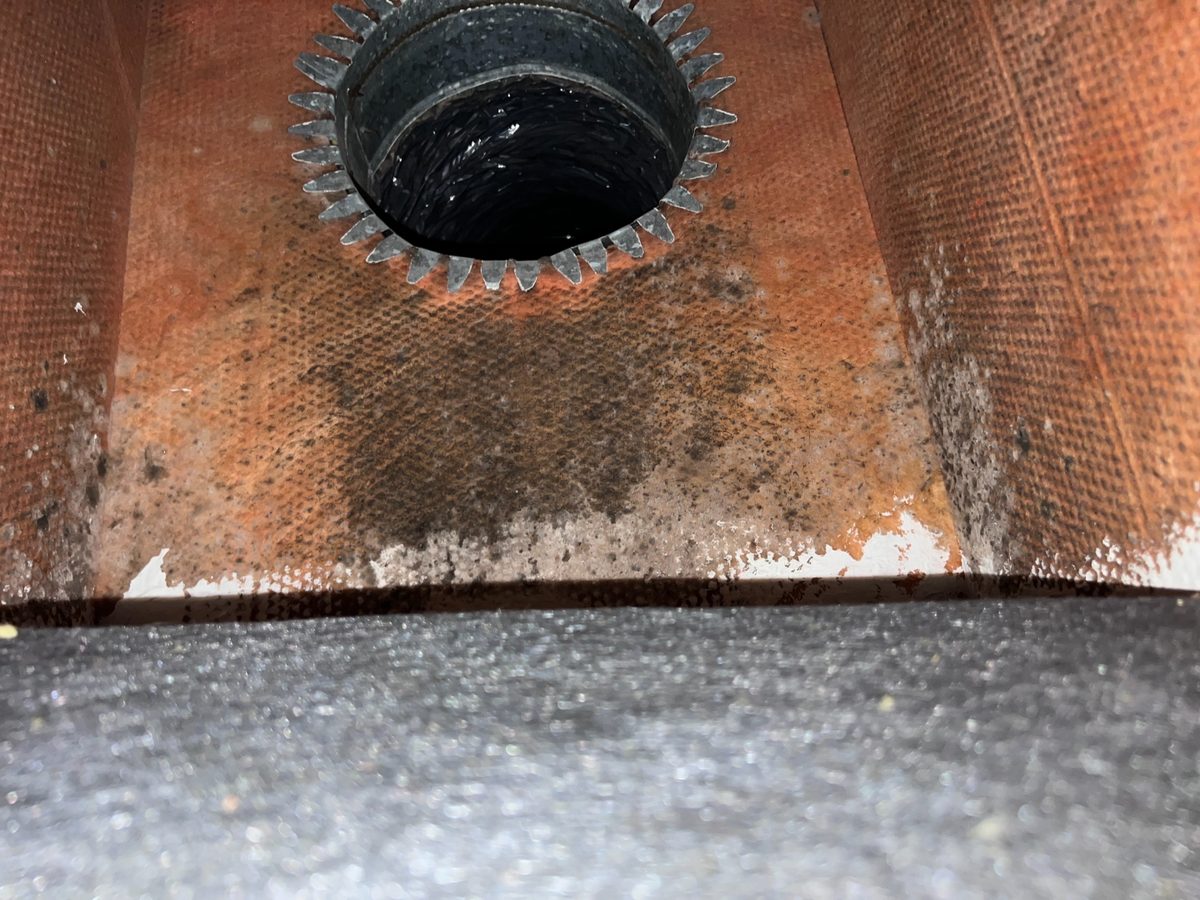 Black mold colonization on ductboard around an HVAC duct collar