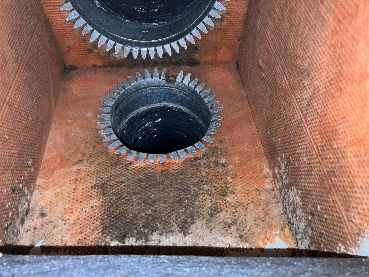Widespread mold contamination on the interior liner of an HVAC supply plenum