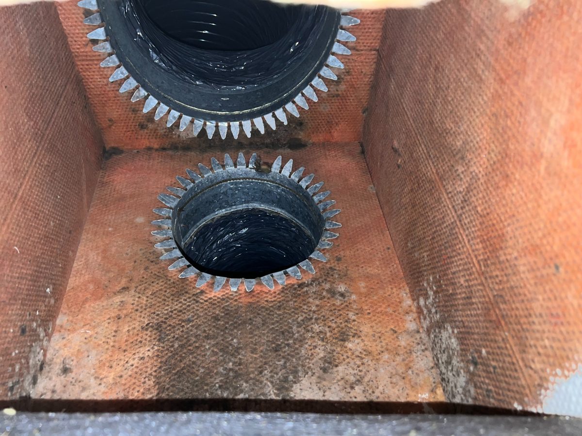 Mold growth inside an HVAC supply plenum and duct takeoffs