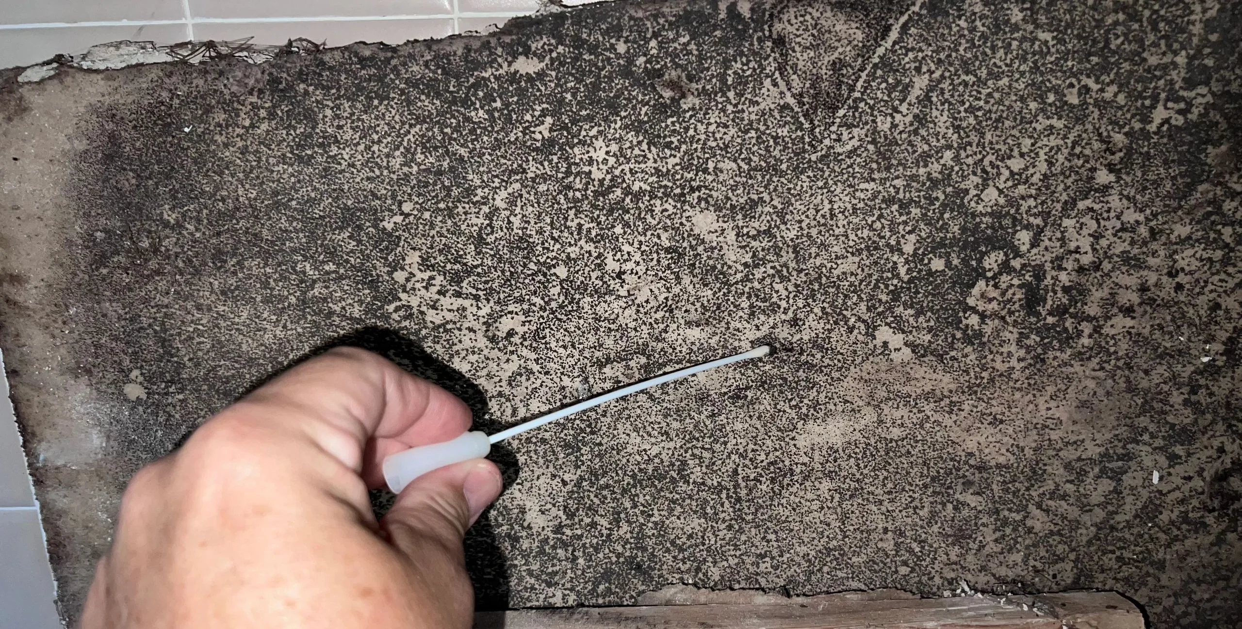 Mold sample collection