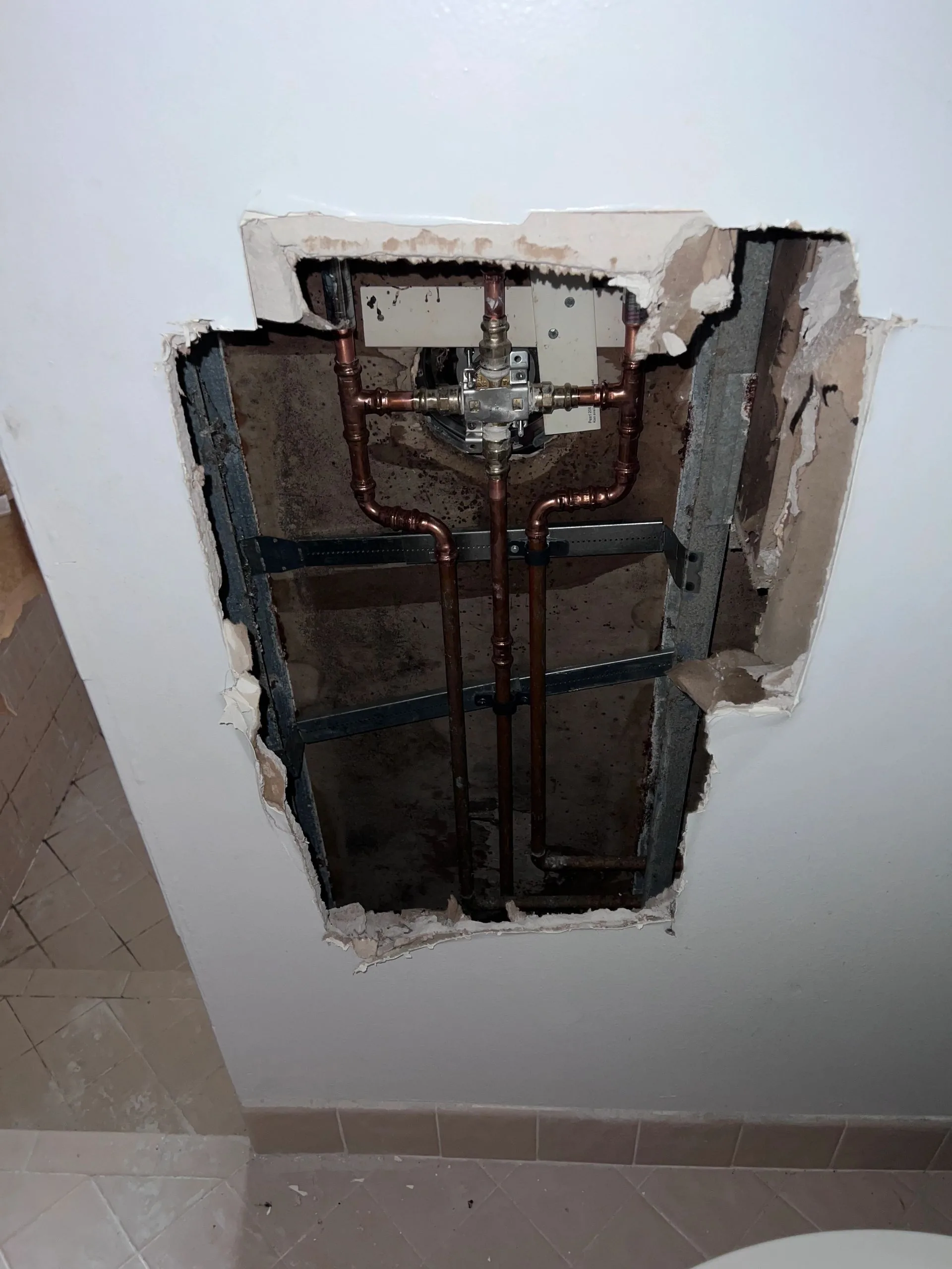 Professional mold assessment