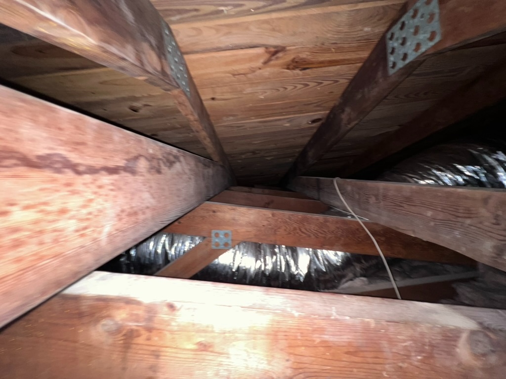 Dark staining on roof rafters and framing inside an attic space during a mold inspection