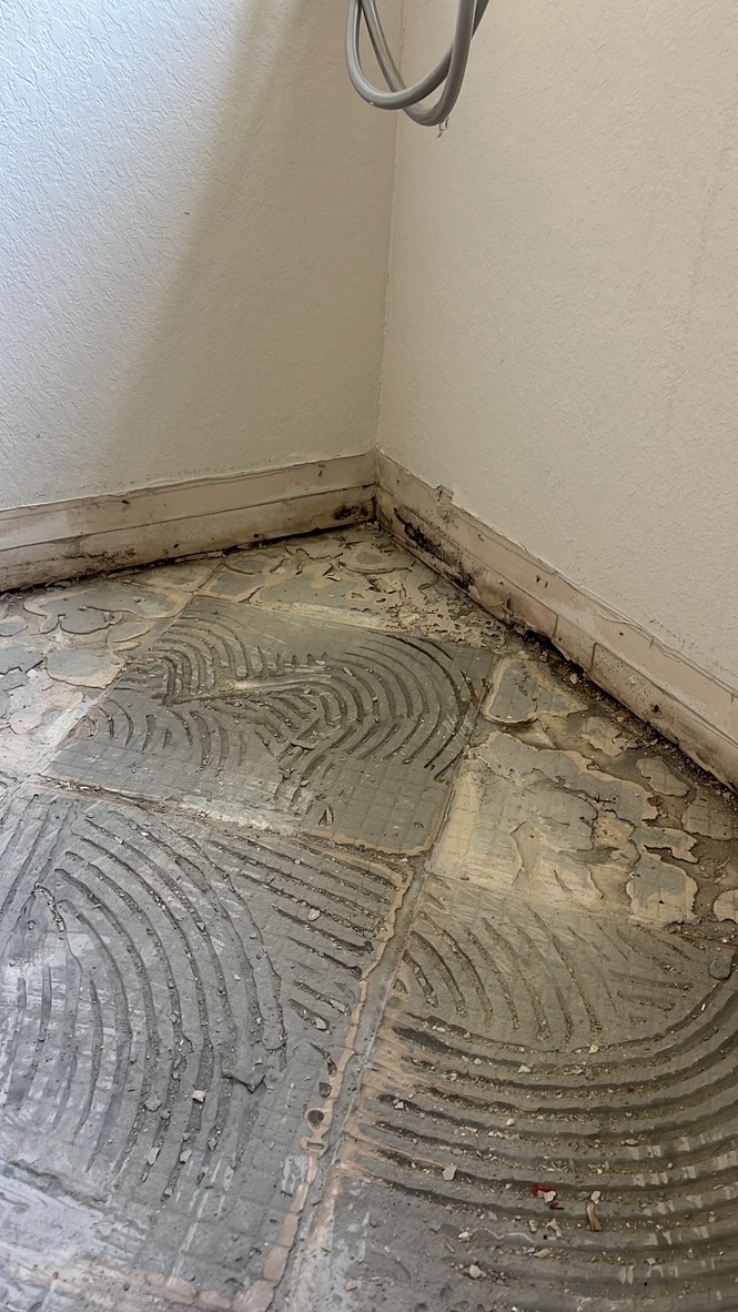 Mold growth discovered under tile flooring in a bathroom corner during a Home Enviro inspection