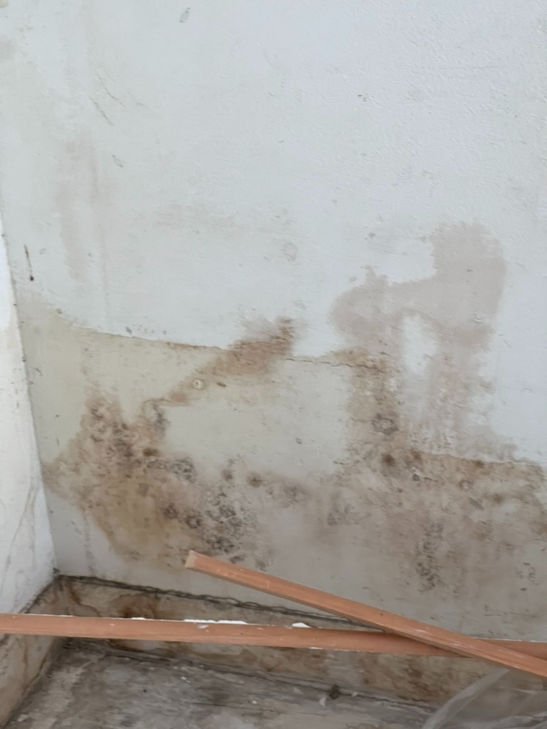Brown water staining and mold growth spreading across an interior wall corner near a South Florida window