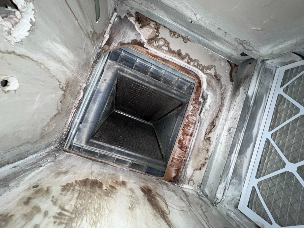 Interior of an air handler unit showing heavy mold contamination on the blower housing and surrounding surfaces