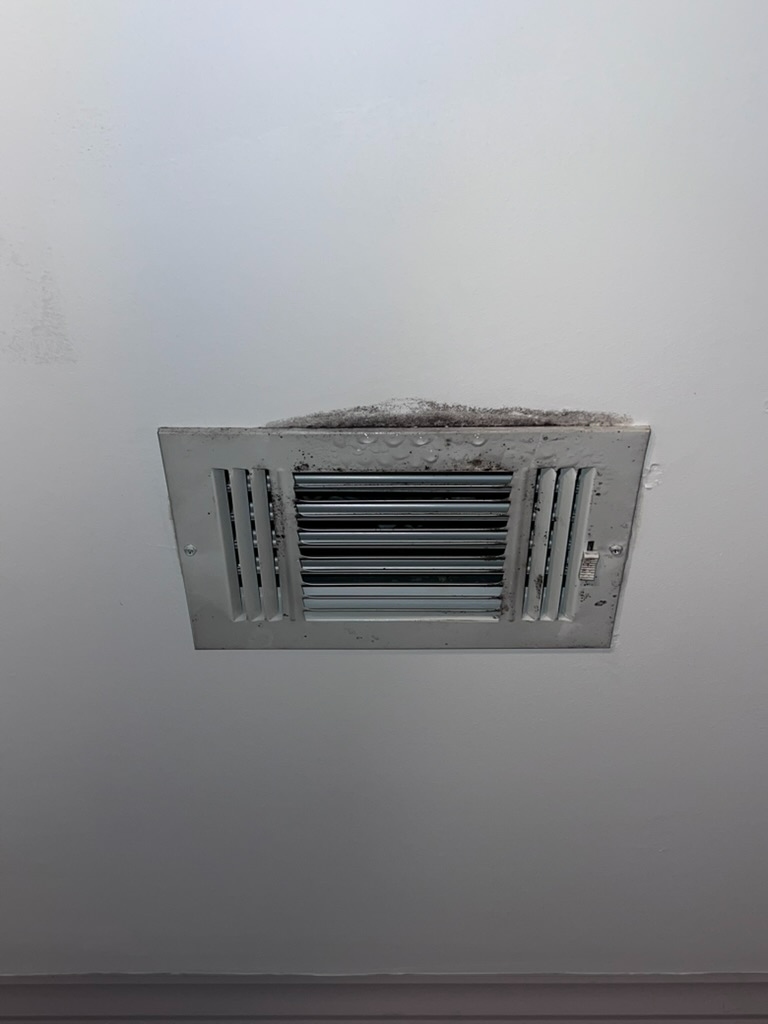 Ceiling HVAC air supply register with visible mold growth along the top edge of the vent frame