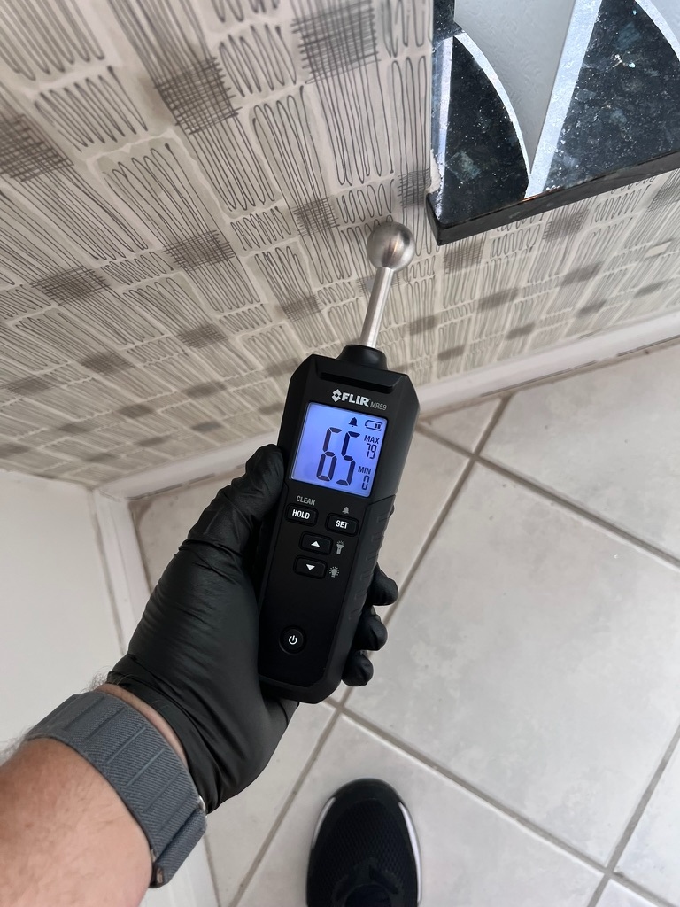 FLIR moisture meter reading elevated moisture on a ceiling near a window