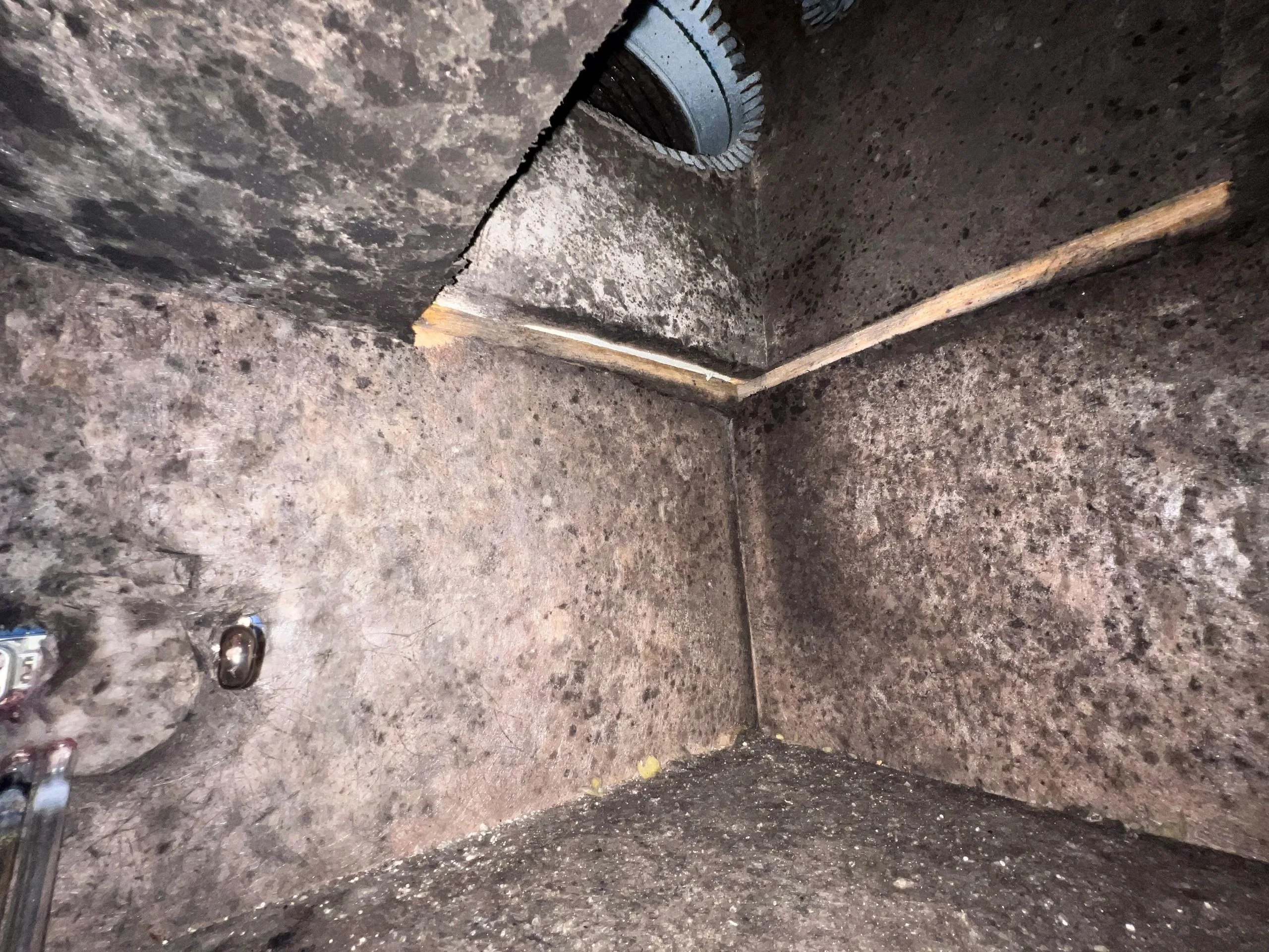 Home Enviro mold assessor performing field inspection at a South Florida residential property