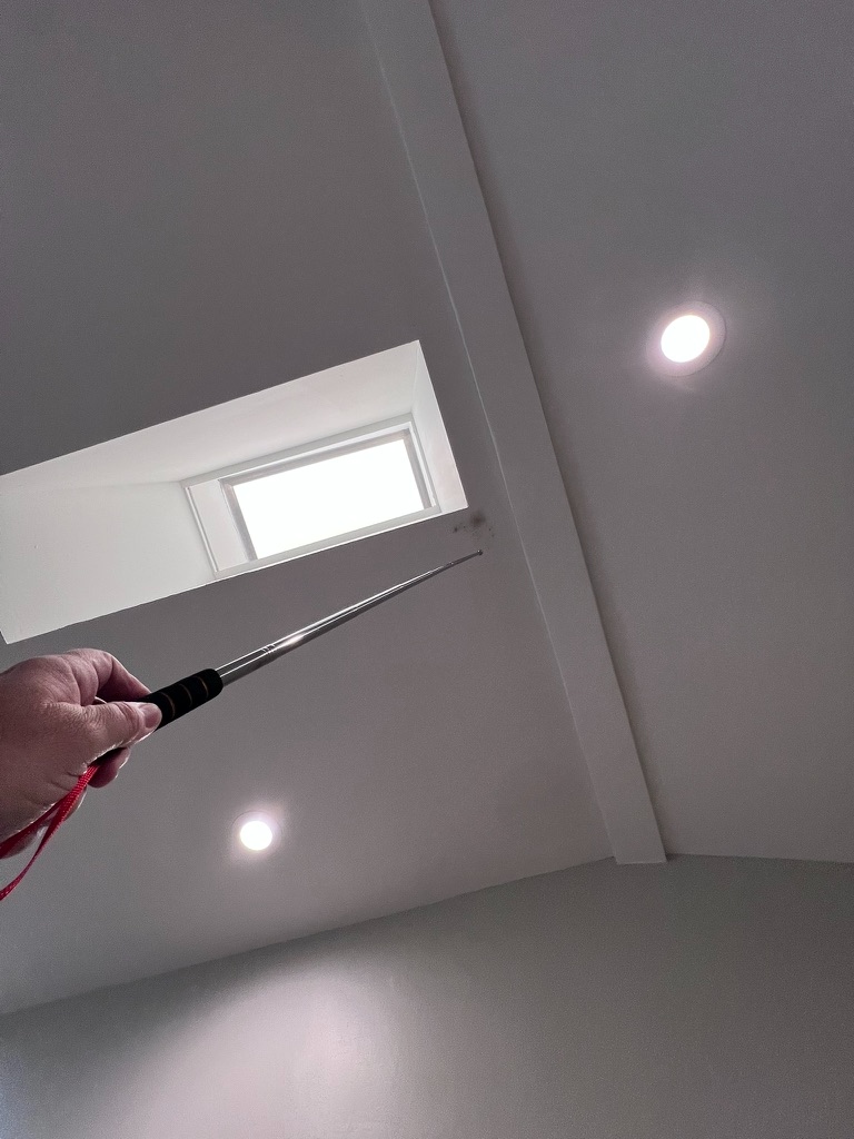 Licensed mold assessor performing visual inspection